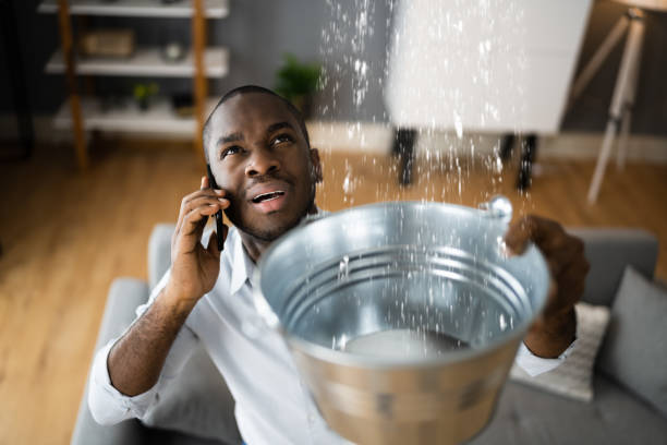 Best Flood restoration services  in Hinton, WV