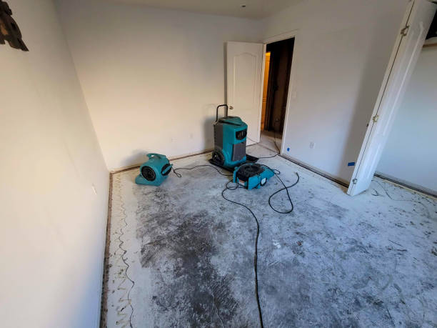 Professional Water damage restoration in Hinton, WV