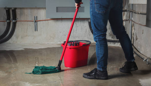 Best 24-hour water damage restoration  in Hinton, WV