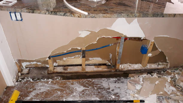 Best Fire Damage Restoration  in Hinton, WV
