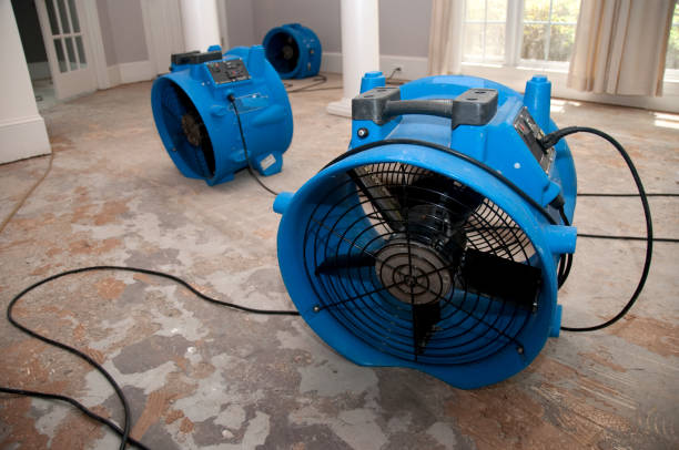 Best Carpet water damage restoration  in Hinton, WV