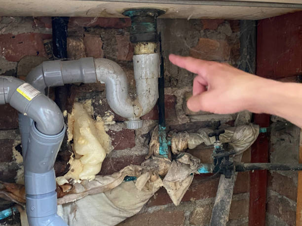 Best Water damage cleanup near me  in Hinton, WV