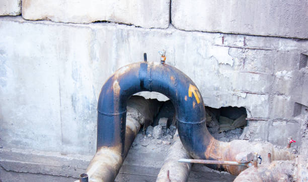 Best Local water damage restoration  in Hinton, WV