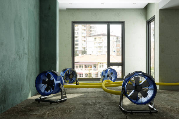 Best Basement water damage restoration  in Hinton, WV