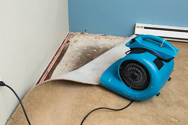 Best Basement water damage restoration  in Hinton, WV